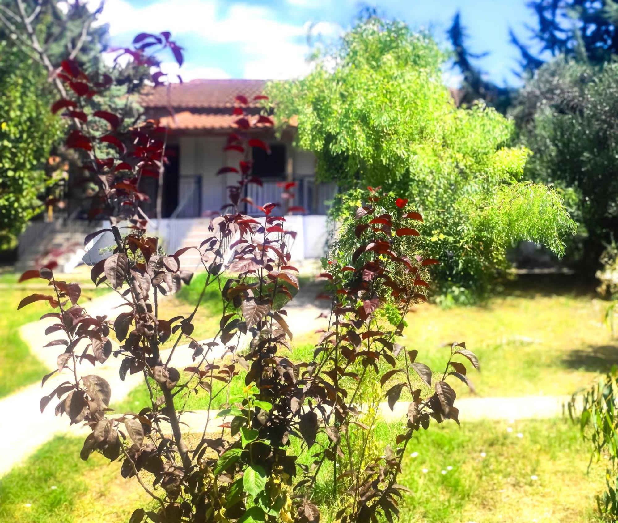 Vergia Studios Sozopoli Exterior photo